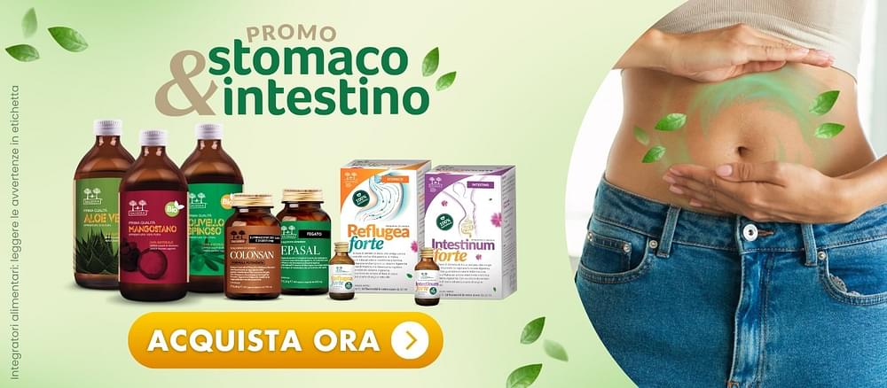 Salugea Agosto