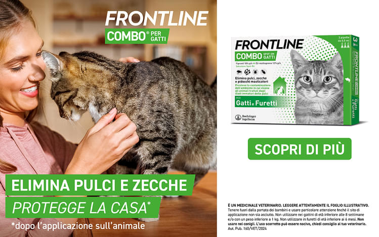Boehringer COMBO GATTO