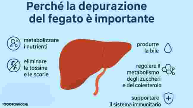Come depurare il fegato: cause, sintomi e rimedi per purificarlo in modo naturale 