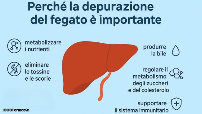 Come depurare il fegato: cause, sintomi e rimedi per purificarlo in modo naturale 