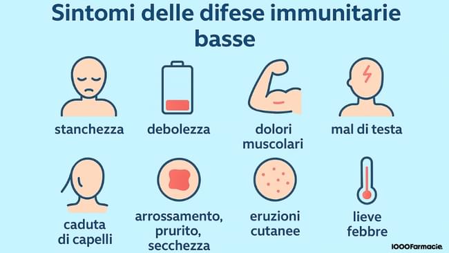 Difese immunitarie basse: sintomi, cause e rimedi per rafforzarle