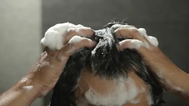 I migliori shampoo anticaduta