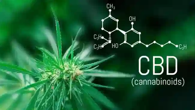 Il CBD crea dipendenza? Verità scientifiche e miti da sfatare