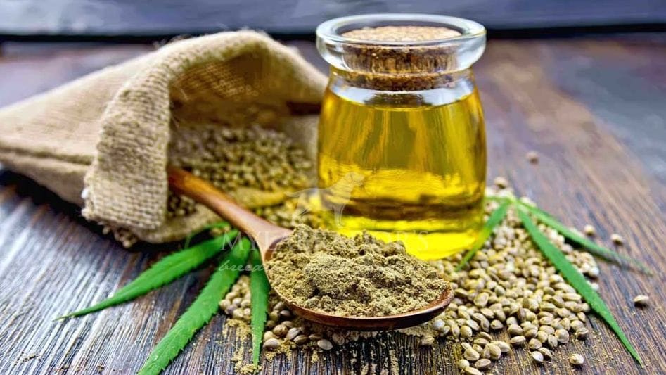 Differenza tra Olio di CBD e Olio di Canapa