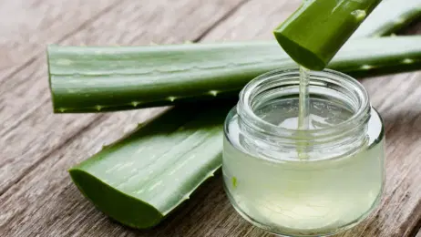 Succo di aloe vera da bere: benefici, utilizzo e controindicazioni