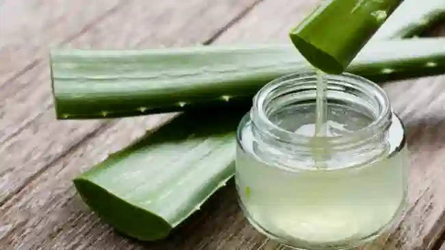 Succo di aloe vera da bere: benefici, utilizzo e controindicazioni