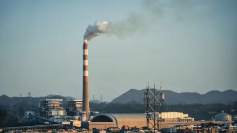 Tossine e metalli pesanti: perché è utile un total body reset