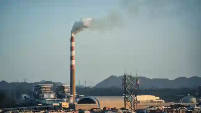 Tossine e metalli pesanti: perché è utile un total body reset