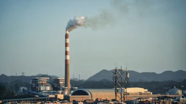 Tossine e metalli pesanti: perché è utile un total body reset