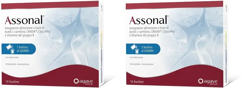 ASSONAL 16 BUSTINE Pack da 2