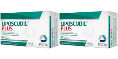 LIPOSCUDIL PLUS 30 CAPSULE Pack da 2