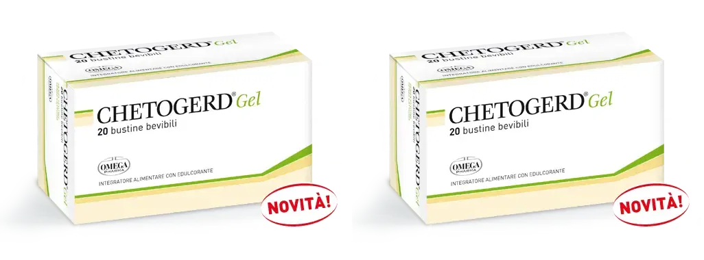 CHETOGERD GEL 20 STICK Pack da 2