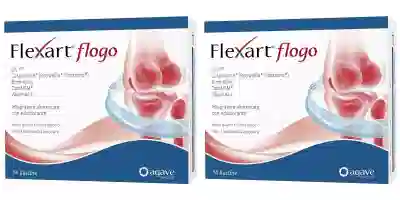 FLEXART FLOGO 14 BUSTINE NUOVA FORMULAZIONE Pack da 2