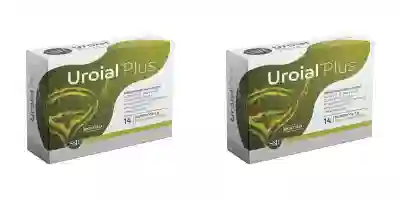UROIAL PLUS 14 BUSTINE DA 3 G Pack da 2