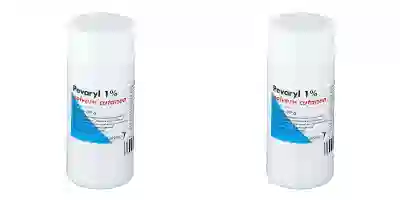 JANSSEN CILAG PEVARYL polvere cutanea 30 g 1% Pack da 2