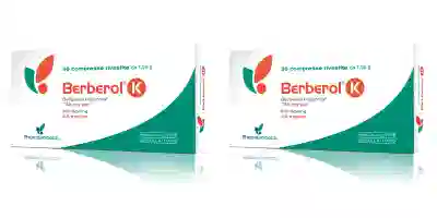 BERBEROL K 30 COMPRESSE Pack da 2