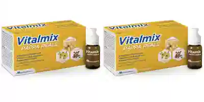 VITALMIX PAPPA REALE 10 FLACONI DA 10 ML Pack da 2