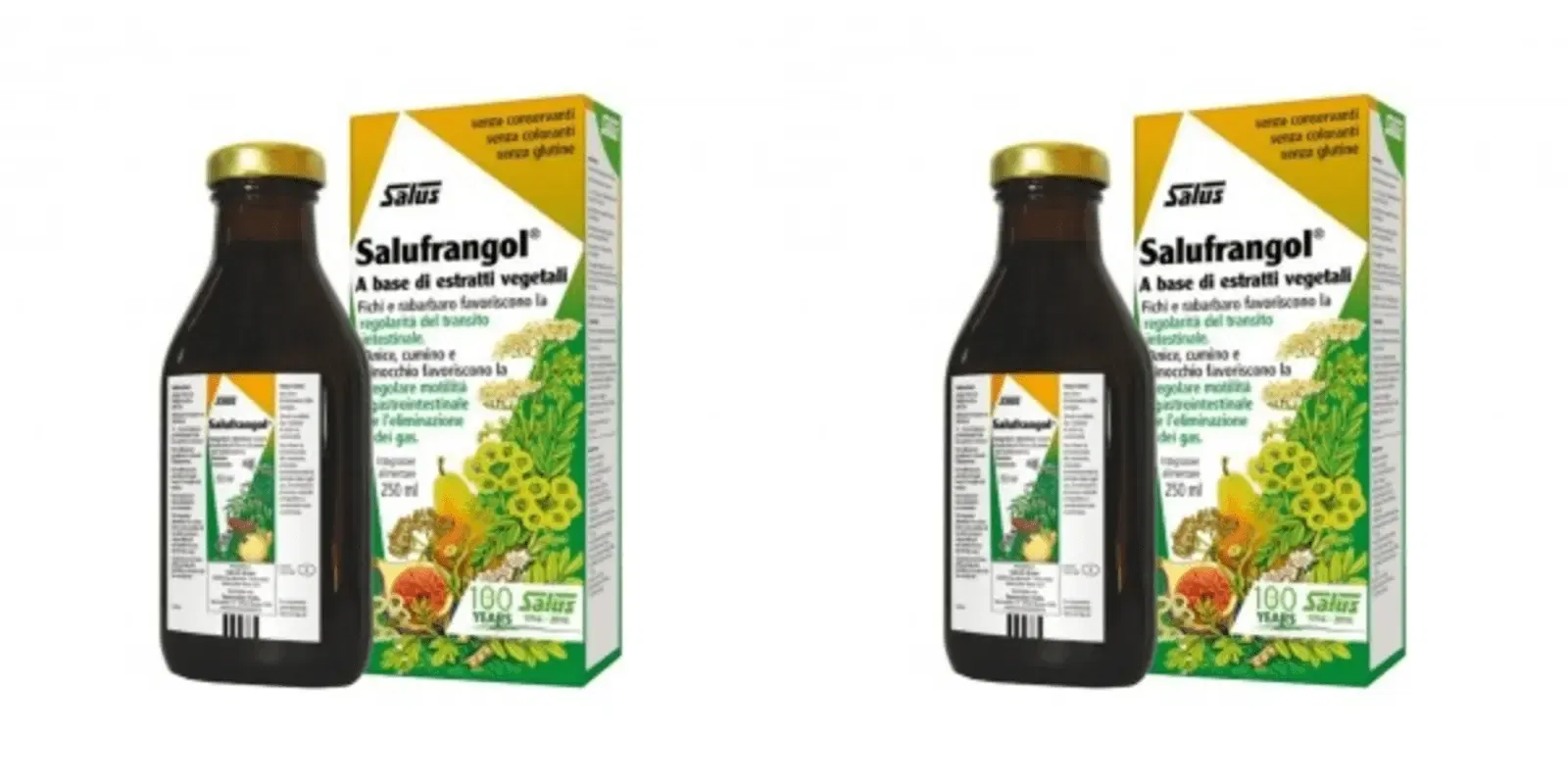 SALUFRANGOL 250 ML Pack da 2