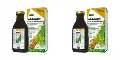 SALUFRANGOL 250 ML Pack da 2