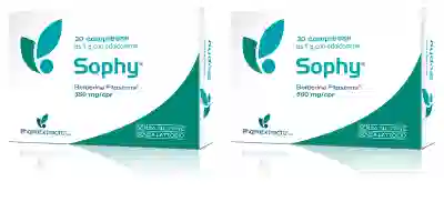 SOPHY 30 COMPRESSE Pack da 2