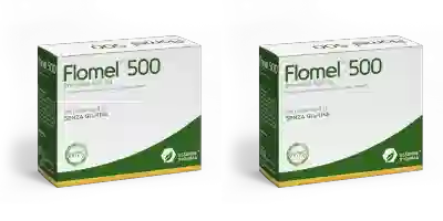 FLOMEL 500 20 BUSTINE Pack da 2