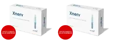 XNERV 24 COMPRESSE Pack da 2