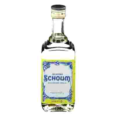 SOLUZIONE SCHOUM orale soluzione 550 g