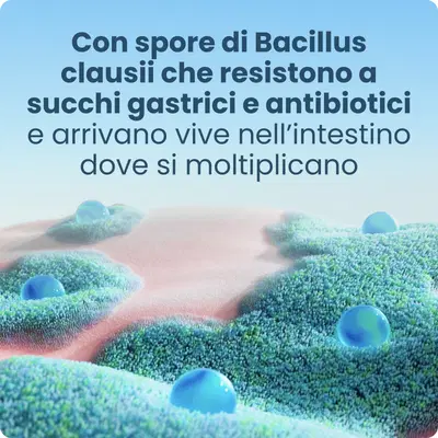 Enterogermina 2 miliardi fermenti lattici, probiotici per disturbi intestinali, 20 fiale Enterogermina 2 miliardi fermenti lattici, probiotici per disturbi intestinali, 20 fiale
