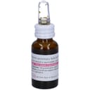 ARGENTO PROTEINATO (SELLA) BB gocce orali 10 ml 0,5%