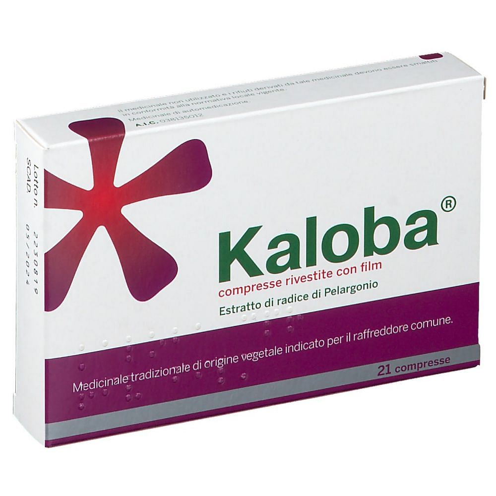 Kaloba 21 Compresse Rivestite 20 Mg