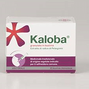 Kaloba*Os Grat 21 Bust 800 Mg