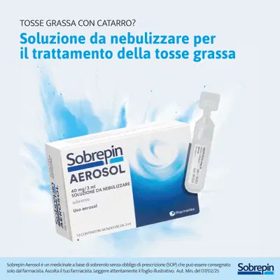 SOBREPIN AEROSOL soluzione nebulizzata 10 flaconcini 40 mg 3 ml SOBREPIN AEROSOL soluzione nebulizzata 10 flaconcini 40 mg 3 ml