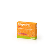 SPIDIDOL granulato orale 12 bustine 400 mg aroma menta anice