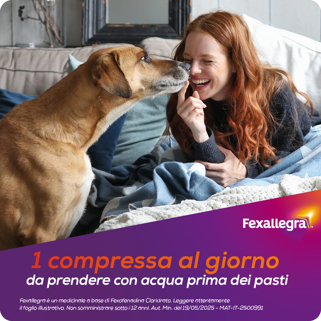 Fexallegra Antistaminico Allergia Contro i Sintomi della Rinite Allergica, Formato 10 Compresse 