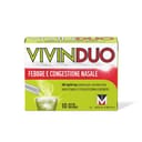VIVINDUO FEBBRE E CONGESTIONE NASALE orale 10 bustine 500 mg +60 mg