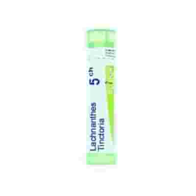 LACHNANTHES TINCTORIA (BOIRON)*80 granuli 5 CH contenitore multidose 4G