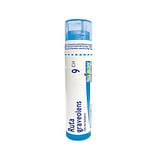 RUTA GRAVEOLENS (BOIRON)*80 granuli 9 CH contenitore multidose 4G