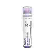 KALIUM BICHROMICUM (BOIRON)*80 granuli 30 CH contenitore multidose 4G