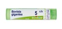 BOVISTA GIGANTEA (BOIRON)*80 granuli 5 CH contenitore multidose 4G
