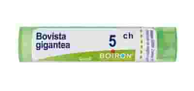 BOVISTA GIGANTEA (BOIRON)*80 granuli 5 CH contenitore multidose 4G