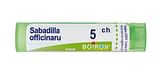 SABADILLA OFFICINARUM (BOIRON)*80 granuli 5 CH contenitore multidose 4G