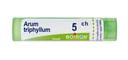 ARUM TRIPHYLLUM (BOIRON)*80 granuli 5 CH contenitore multidose 4G