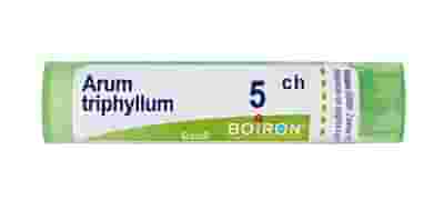 ARUM TRIPHYLLUM (BOIRON)*80 granuli 5 CH contenitore multidose 4G