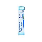 BOIRON  CAULOPHYLLUM THALICTROIDES*80 granuli 9 CH contenitore multidose