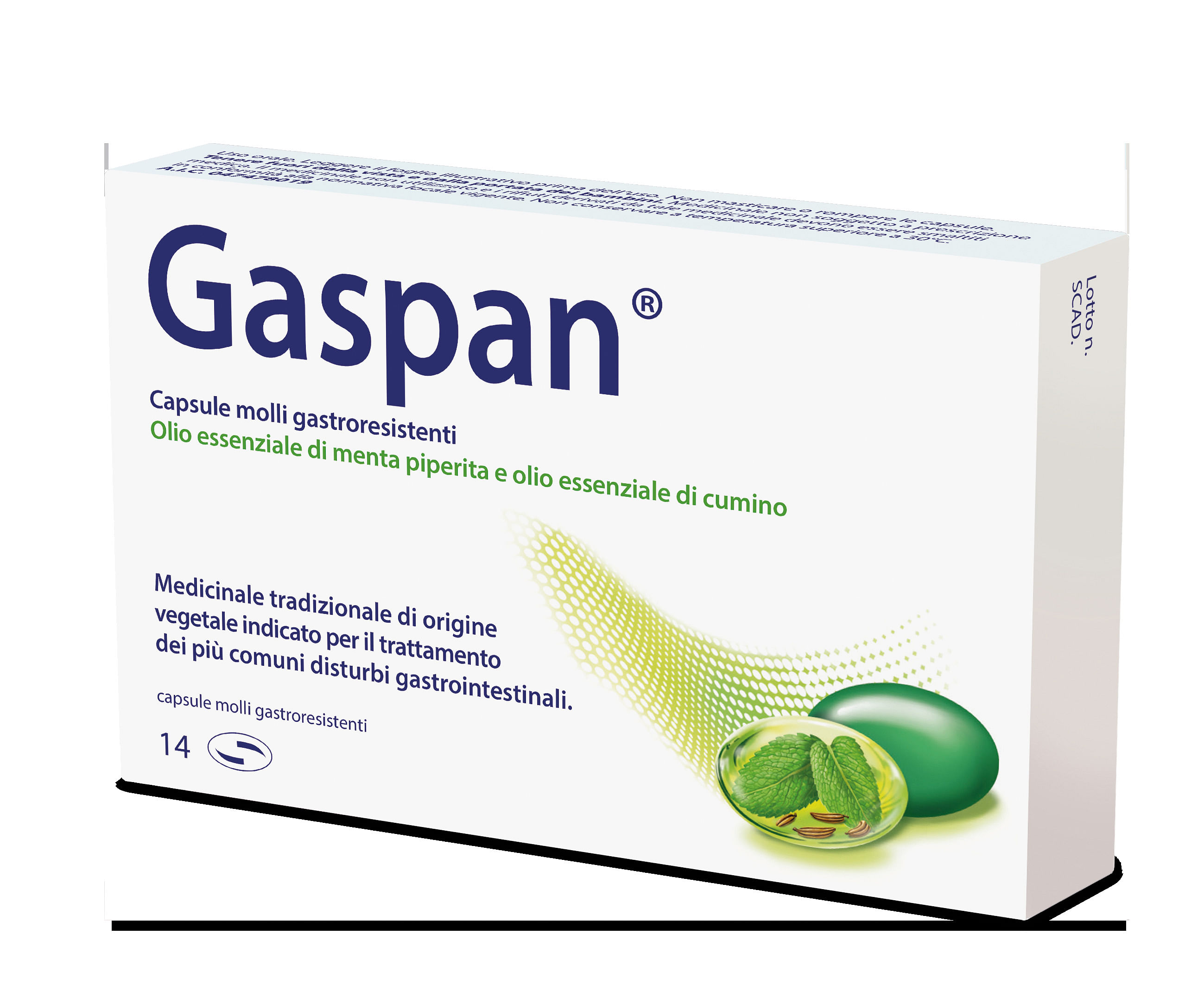 Gaspan 14 Capsule Molli Gastroresistenti