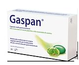 GASPAN 28 capsule molli gastroresistenti