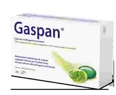 GASPAN 28 capsule molli gastroresistenti