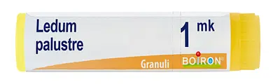 LEDUM PALUSTRE (BOIRON)*granuli 1 MK contenitore monodose LEDUM PALUSTRE (BOIRON)*granuli 1 MK contenitore monodose