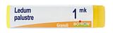 LEDUM PALUSTRE (BOIRON)*granuli 1 MK contenitore monodose