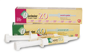 DUELMINT 40*VERDE SIR 15ML
